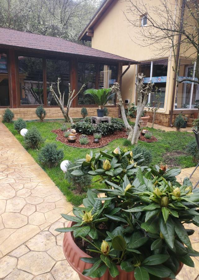Thermae D'Olimpia & Spa - Adults Only 14 Plus Baile Herculane Exterior photo
