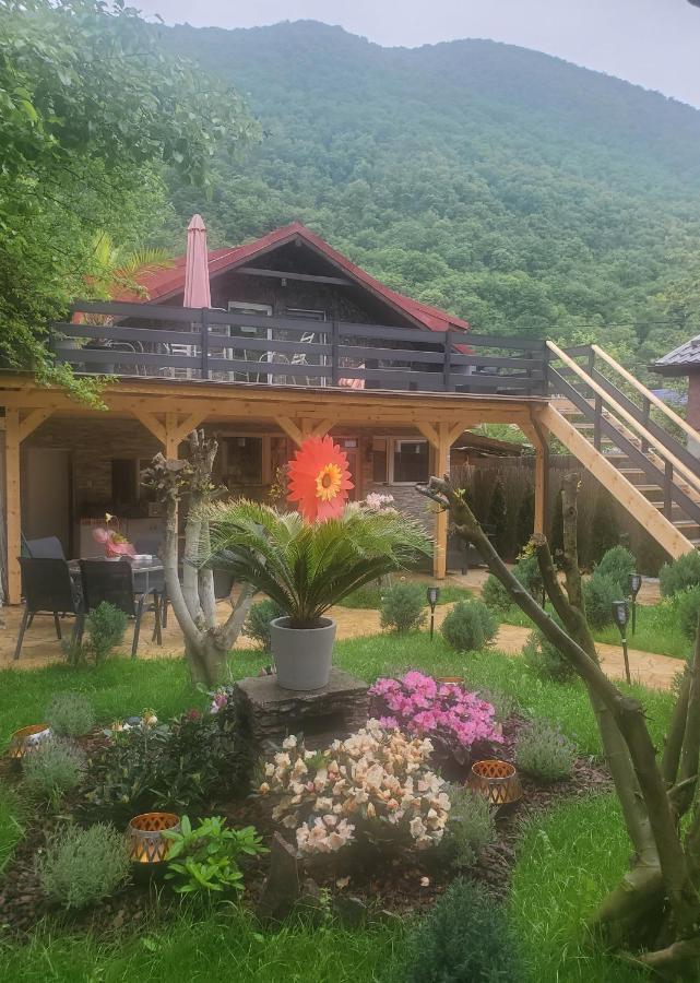Thermae D'Olimpia & Spa - Adults Only 14 Plus Baile Herculane Exterior photo