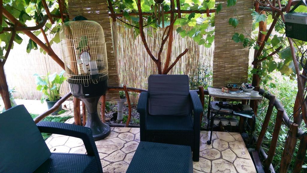 Thermae D'Olimpia & Spa - Adults Only 14 Plus Baile Herculane Exterior photo