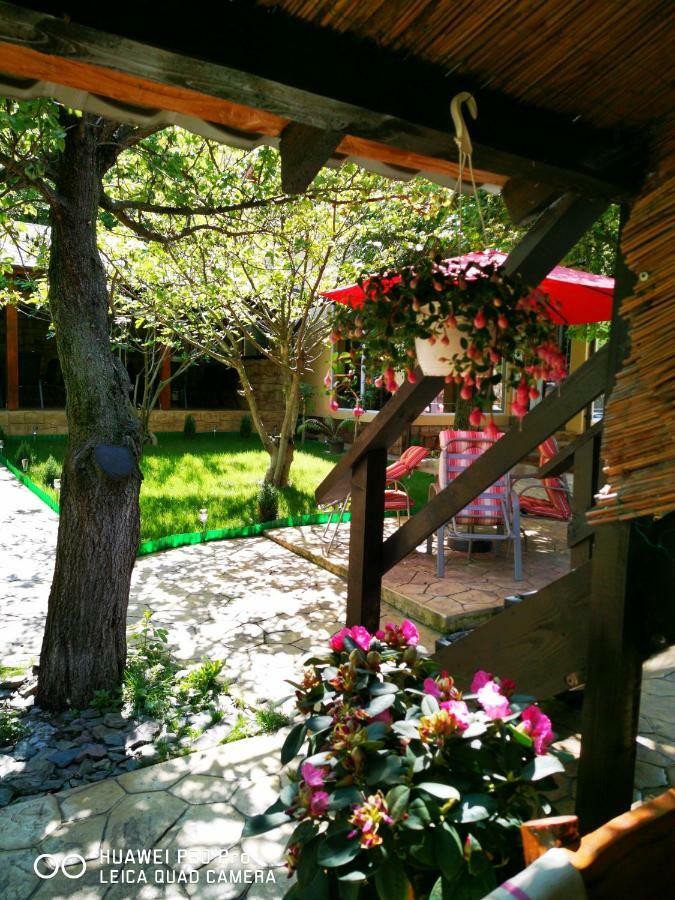 Thermae D'Olimpia & Spa - Adults Only 14 Plus Baile Herculane Exterior photo
