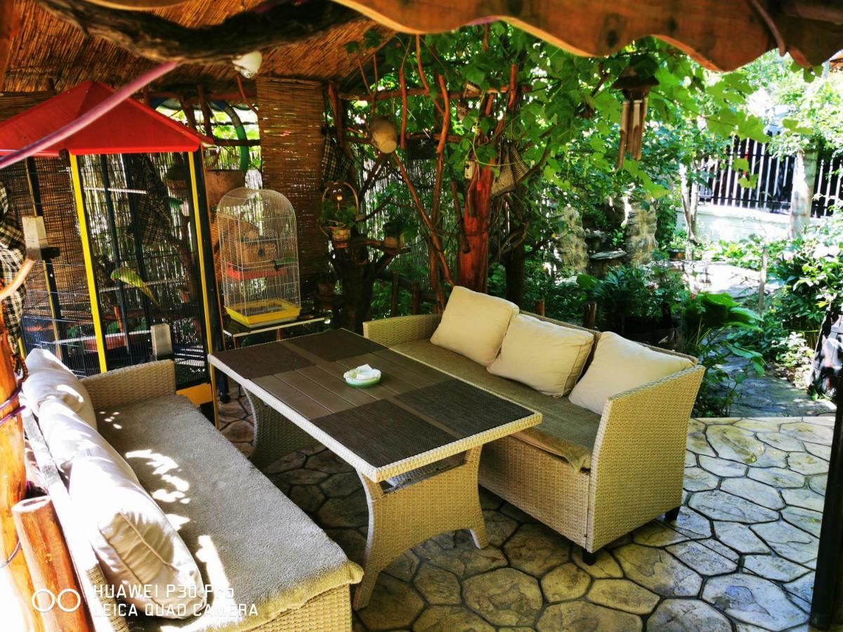 Thermae D'Olimpia & Spa - Adults Only 14 Plus Baile Herculane Exterior photo